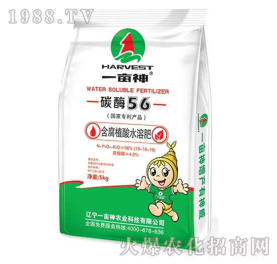 ����ֲ��ˮ�ܷ�19-18-19-̼ø56-һ����