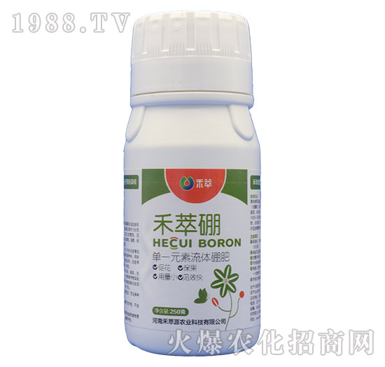 ��һԪ�����w���-������-����