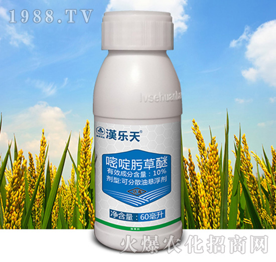 10%嘧啶肟草醚-漢樂天-尚禾沃達(dá)