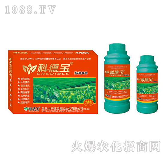 ����ɣ���àI�B(y��ng)���a(ch��n)�{(di��o)�턩-�Ƶ�