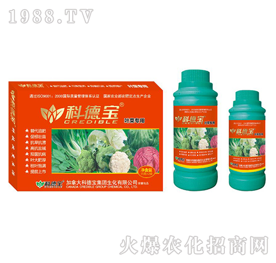 葉菜專用營養(yǎng)增產(chǎn)調(diào)理劑-科德寶