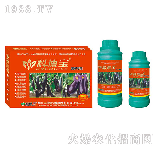 ���ӌ��àI�B(y��ng)���a�{�턩-�Ƶ�