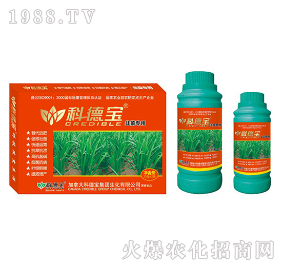 韭菜專用營養(yǎng)增產(chǎn)調(diào)理劑-科德寶