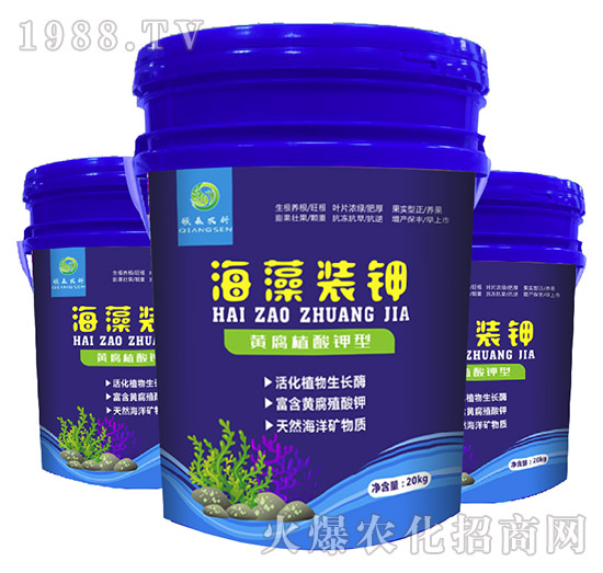 �����b�-��(qi��ng)ɭ�r(n��ng)��