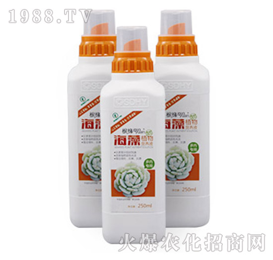 海藻植物營養(yǎng)液-多肉專用型