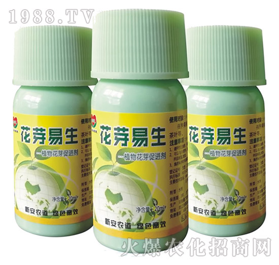 ֲ�ﻨѿ���M(j��n)��-��ѿ����-�°��r(n��ng)��