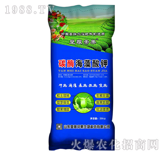 ̼ø�������-�ʼڵ۹�