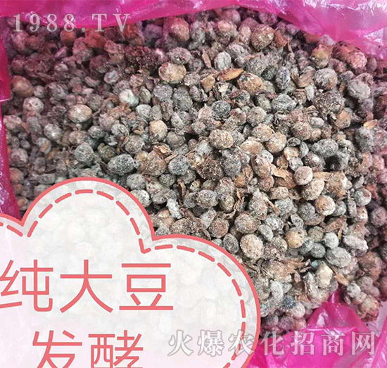 純大豆發(fā)酵