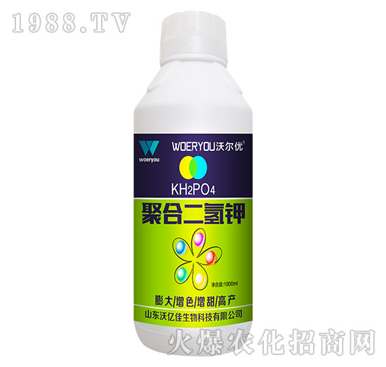 �ۺ϶����-�֠���(y��u)