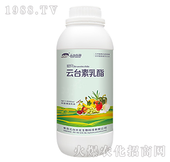 云臺(tái)素乳酯螯合乳液-云臺(tái)大化