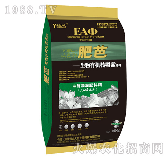 �ʰ�-���_��