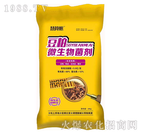 ����΢�������-�����~-�f��ȵ�