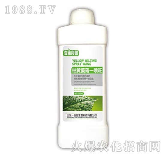 ���Sή��һ����-Ҽ������