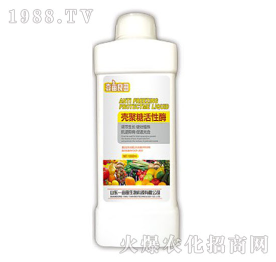 �����ǻ���ø-Ҽ������