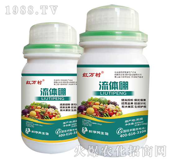 ���w��-���˹����r��