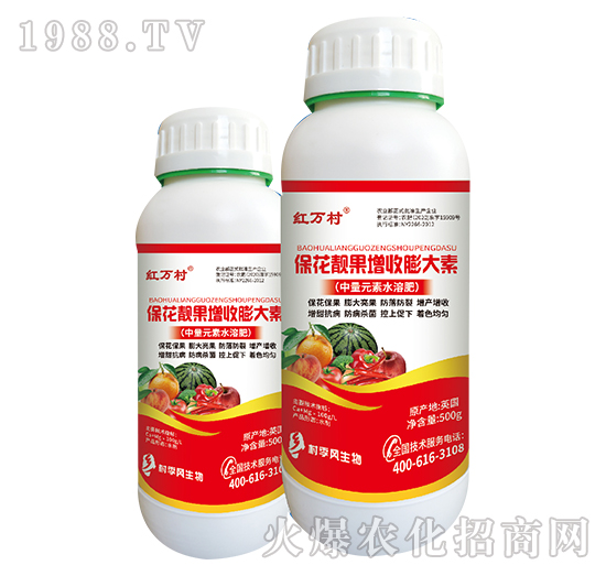 �����n�����������-���˹����r(n��ng)��