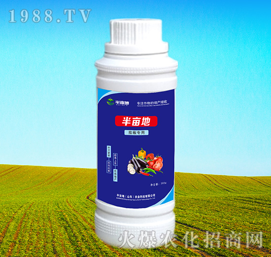 �ѽ������~���-�뮀��