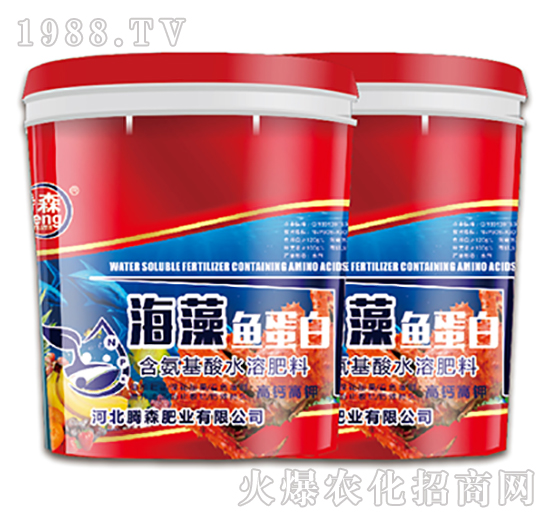 海藻魚蛋白肥-鑫騰森-騰森肥業(yè)