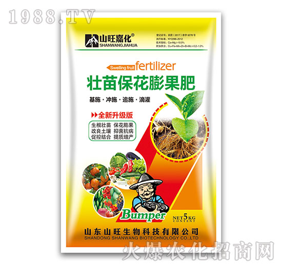 ������������-ɽ������