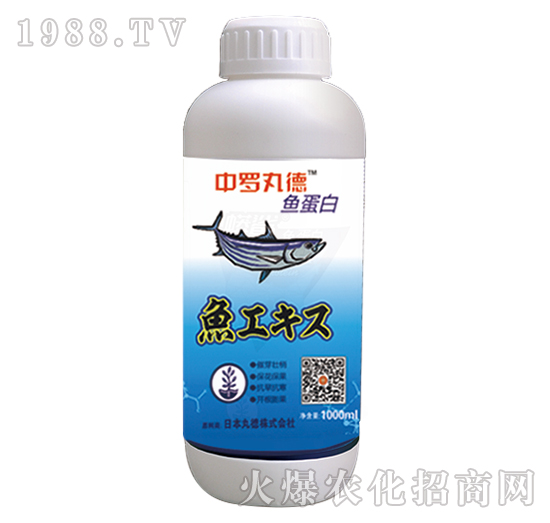 中羅丸德魚(yú)蛋白-中羅