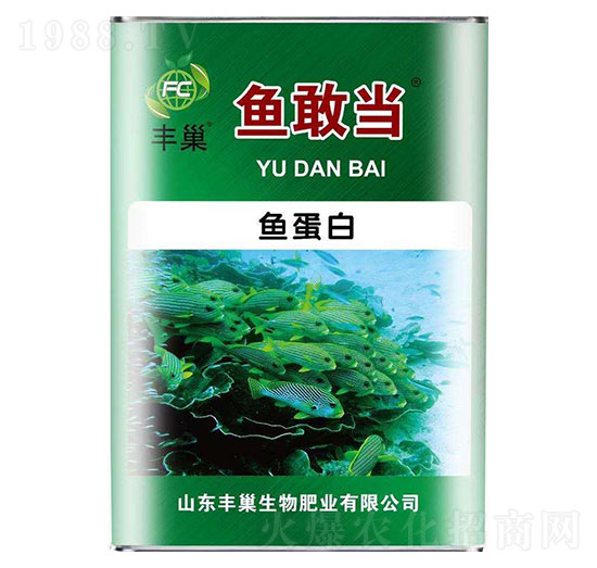 魚蛋白-魚敢當(dāng)-豐巢