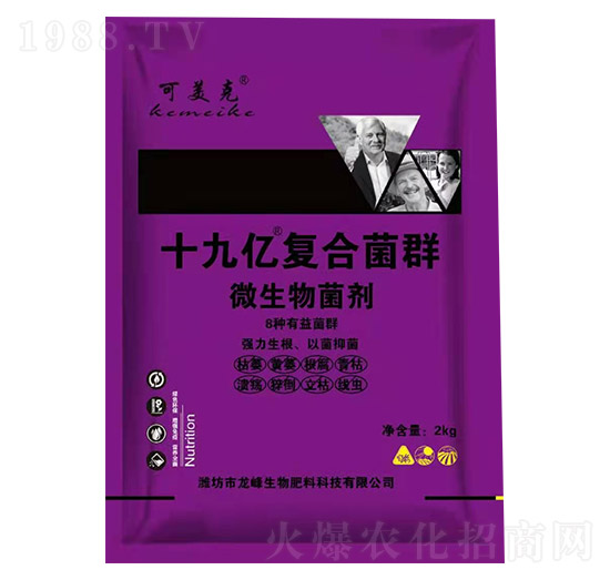 ΢�������-ʮ�Ń|��(f��)�Ͼ�Ⱥ-������