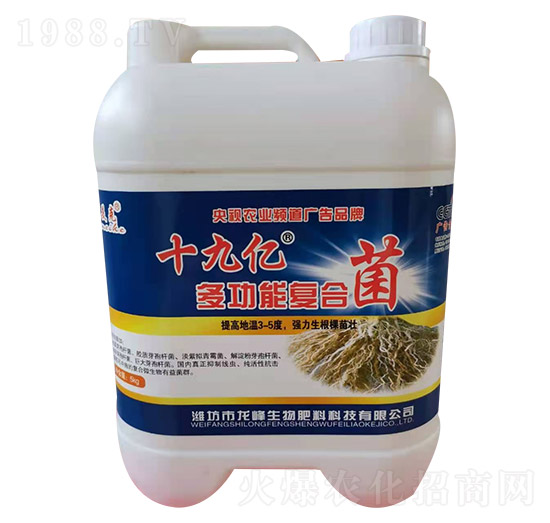 ʮ�Ń|�๦�܏ͺϾ�-������