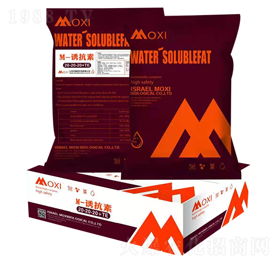 M-�T����20-20-20+TE-Ħϣ-�۹��Է