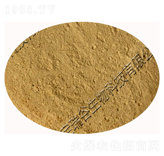 �ͺ�ѿ�ߗU��-�������