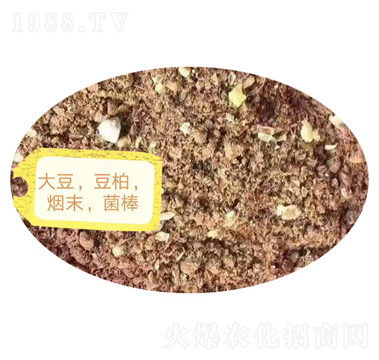 �󶹡���������ĩ��������-�Z�M�}(c��ng)