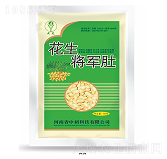 ������܊��-�����Ƽ�