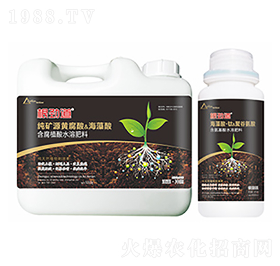 ���ŵ�-�����Ƽ�