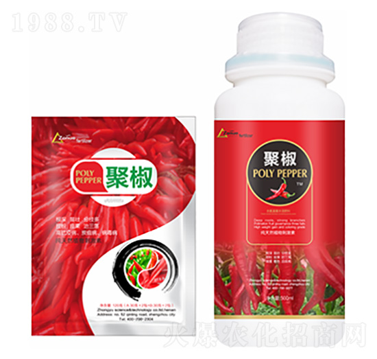 �۽�-�����Ƽ�