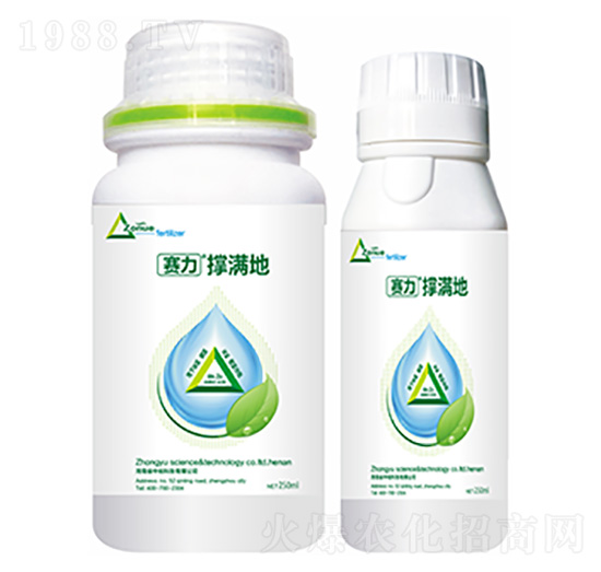 �ΝM��-�����Ƽ�