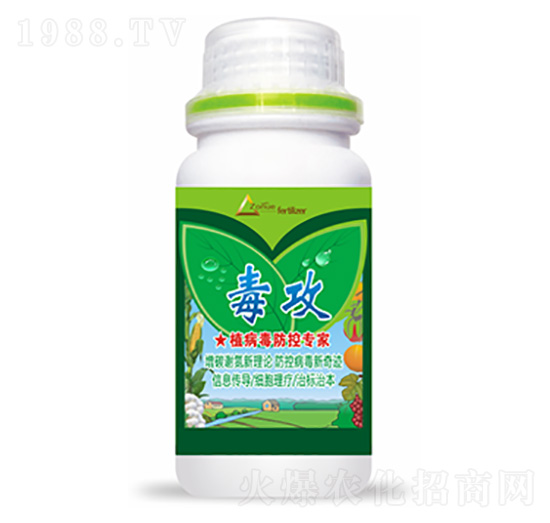 ����-�����Ƽ�