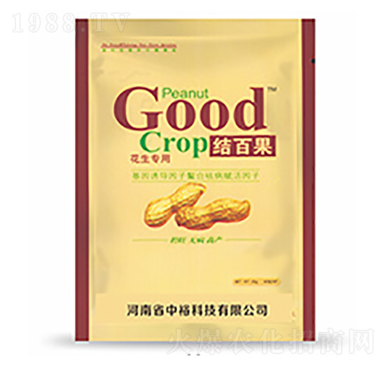 �Y(ji��)�ٹ�-�����Ƽ�