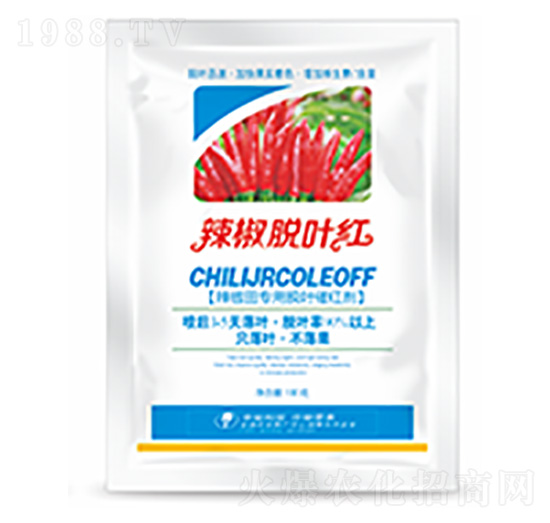 ����Ó�~�t-�����Ƽ�