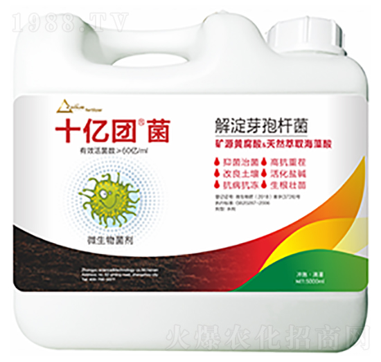 ���ѿ�ߗU��-ʮ�|�F��-��ԣ�Ƽ�