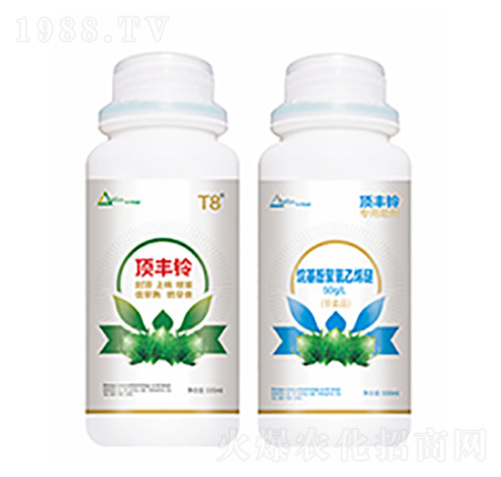 ��S�-�����Ƽ�