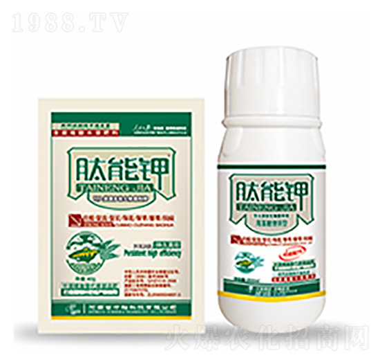 �����-�����Ƽ�