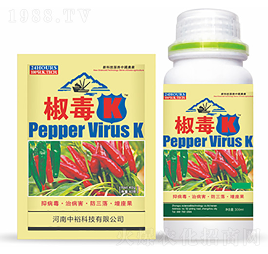 ����K-�����Ƽ�