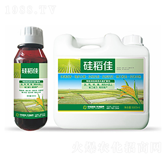 �赾��-�����Ƽ�