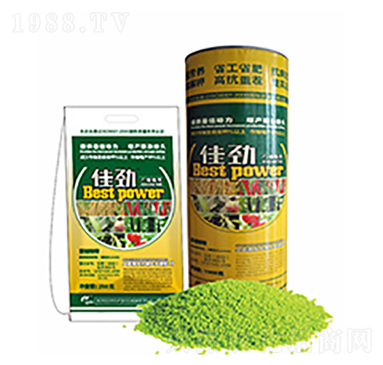 �ф�-�����Ƽ�