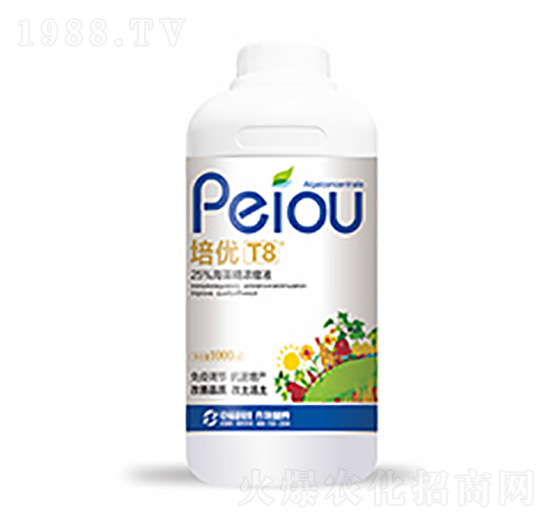 ����(y��u)T8-�����Ƽ�