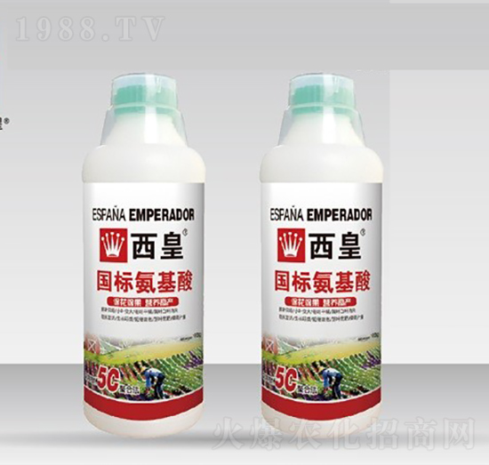 ���˰�����-����-����˹�D