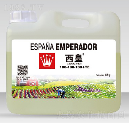 ����Ԫ�����w��180-180-180-����-����˹�D