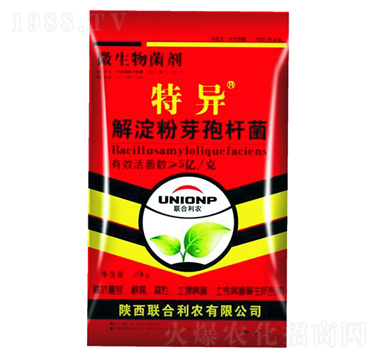 �����ѿ�ߗU��-�خ�-(li��n)�����r(n��ng)