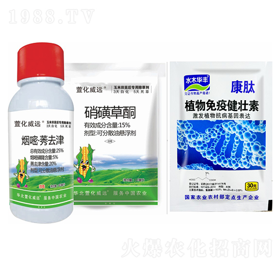 ����ݬȥ��+���ǲ�ͪ+ֲ�����߽�����-�滯���h