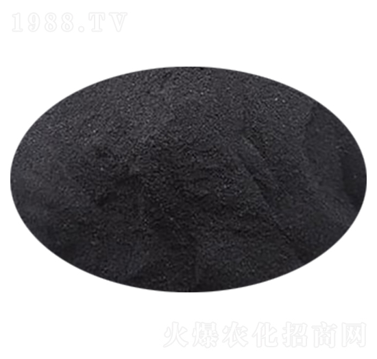 ��ֲ���@-ʥ��һ��