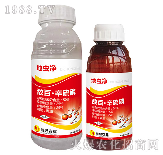 50%���١�������-���x��-���